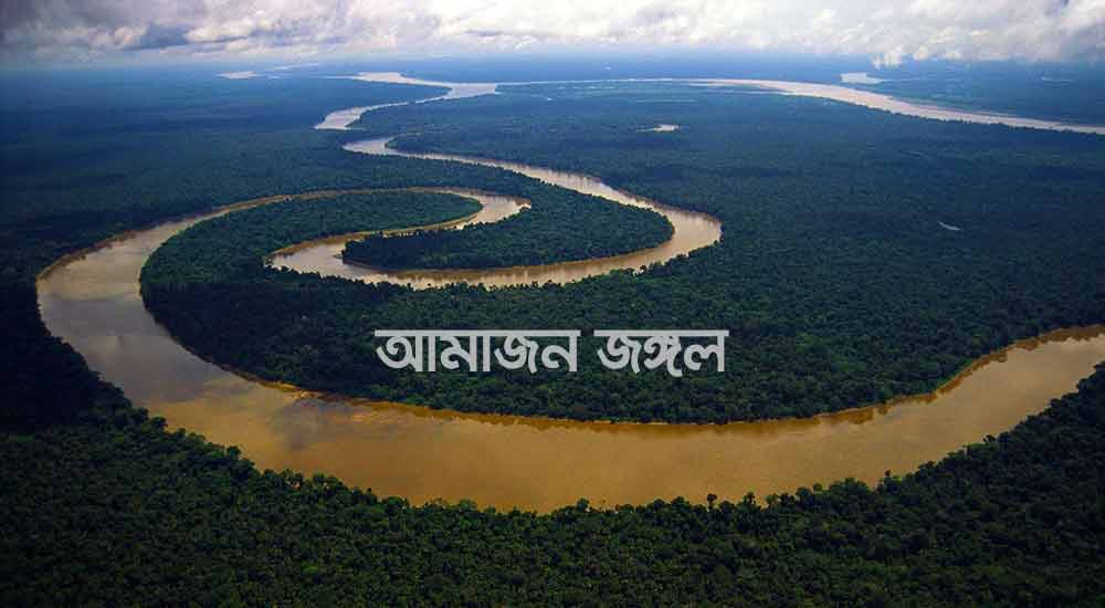 আমাজন জঙ্গল