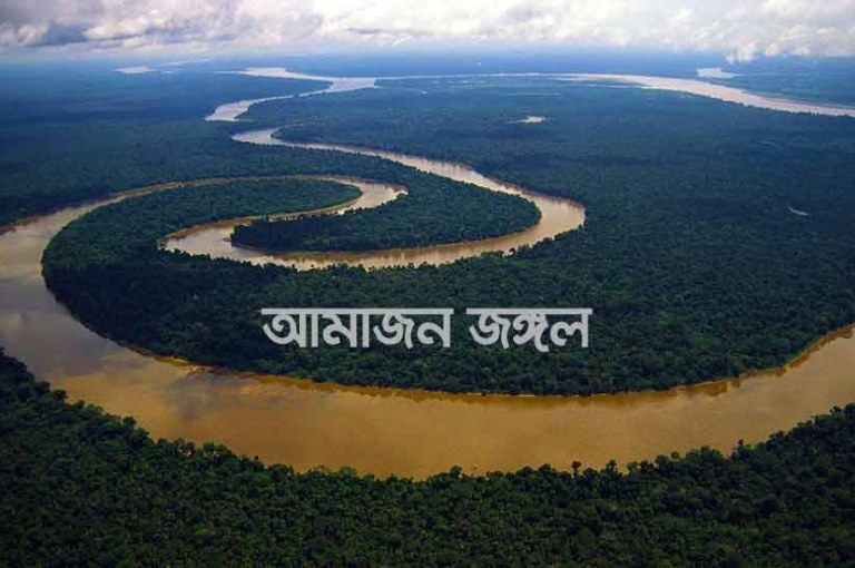 আমাজন জঙ্গল রহস্য